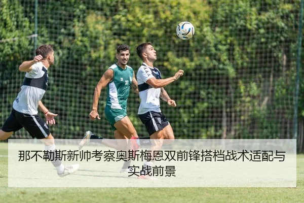 那不勒斯新帅考察奥斯梅恩双前锋搭档战术适配与实战前景（kaiyun）