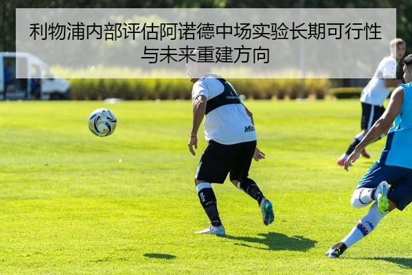 img_1781644798326_332_1_913.jpg