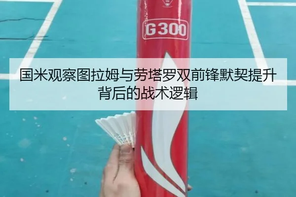 国米观察图拉姆与劳塔罗双前锋默契提升背后的战术逻辑 | kaiyun